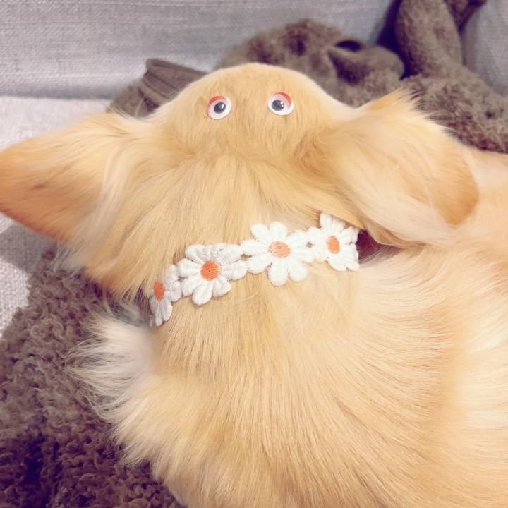 Bca9d38f a6a5 46f3 a72c eb84d98bfd1c 1705310436829