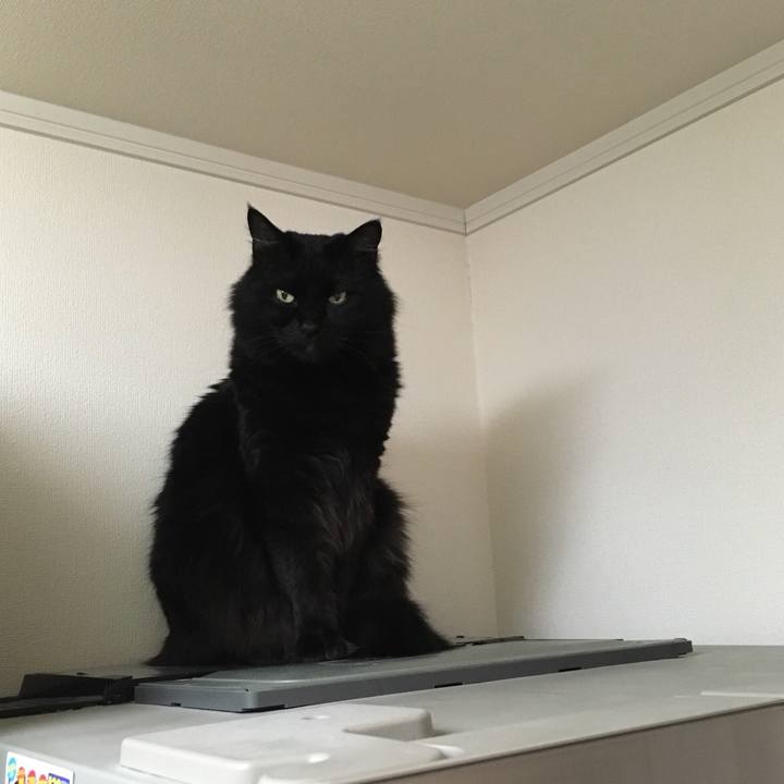 Bca9fb98 20ce 4917 ac33 eff29c9479e8 1524668273526