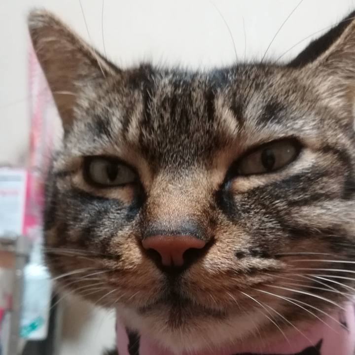 Bcaa0110 efb5 4d70 a1c3 8861df6ac9f1 1609596087845