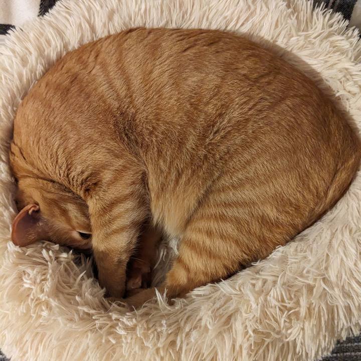 Bcaa02ed ce64 4357 b548 adea5e13aec5 1679225333179