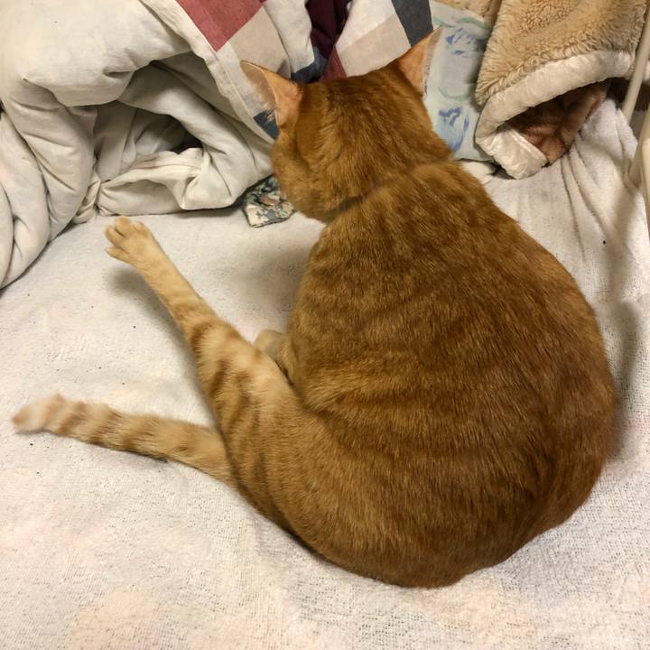 Bcaa06dc a16e 46d6 b317 45035776f552 1572778932391