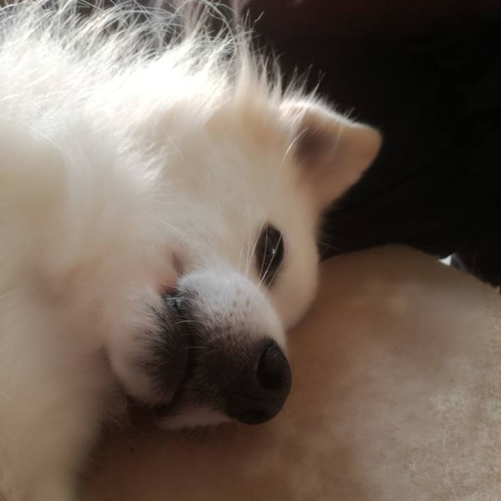 Bcaa1743 e218 4cc5 a187 3e8efae7d568 1509751064120