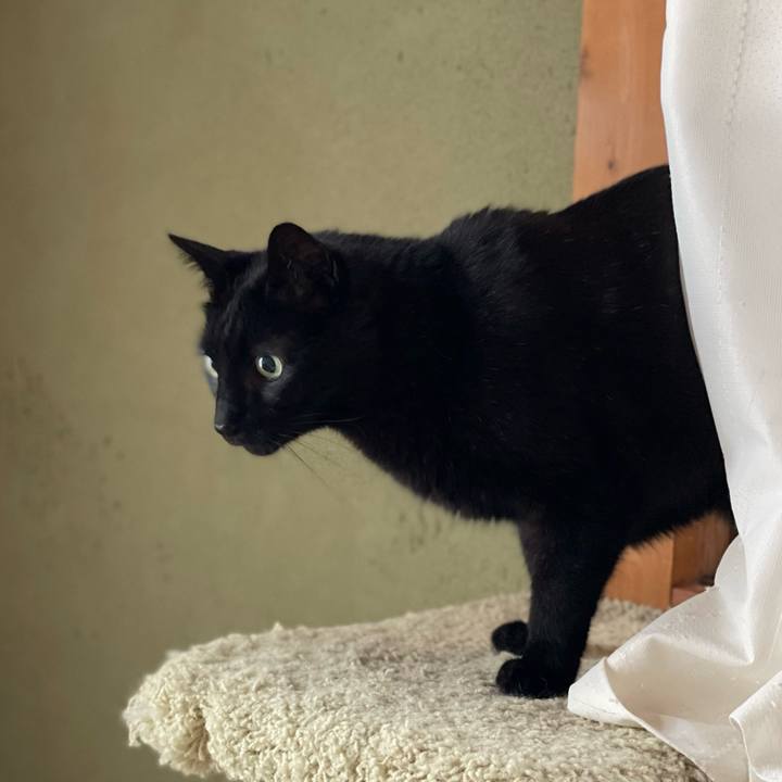 Bcaab76d 7fa3 4490 81aa e52c537cda8d 1654652339420