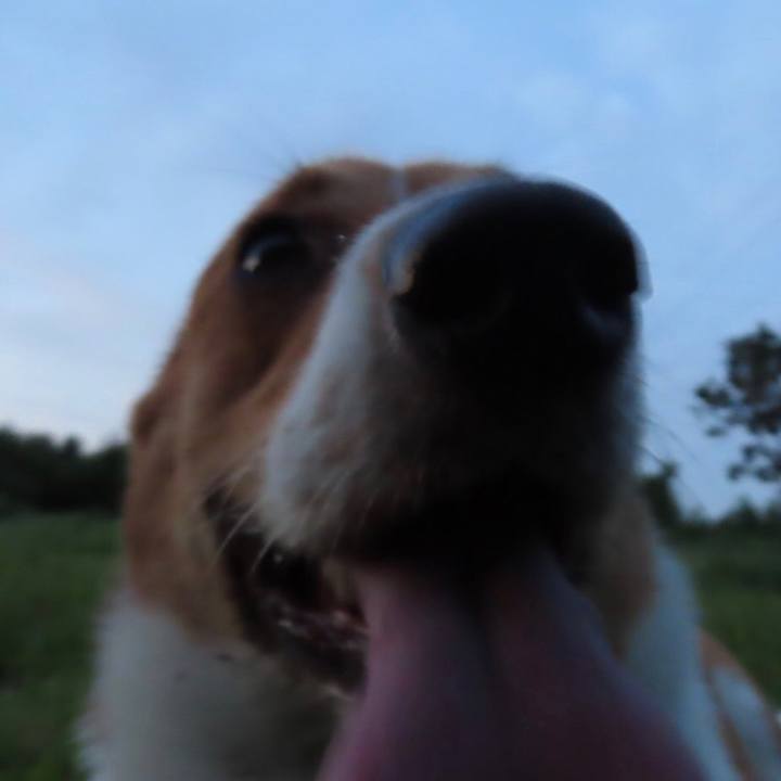 Bcaaeac5 5161 493c a17c 8acc4a74f657 1630372198356