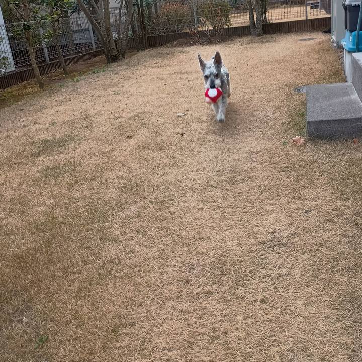 Bcaafaa8 d690 4824 a225 86da3865e91c 1771939064086