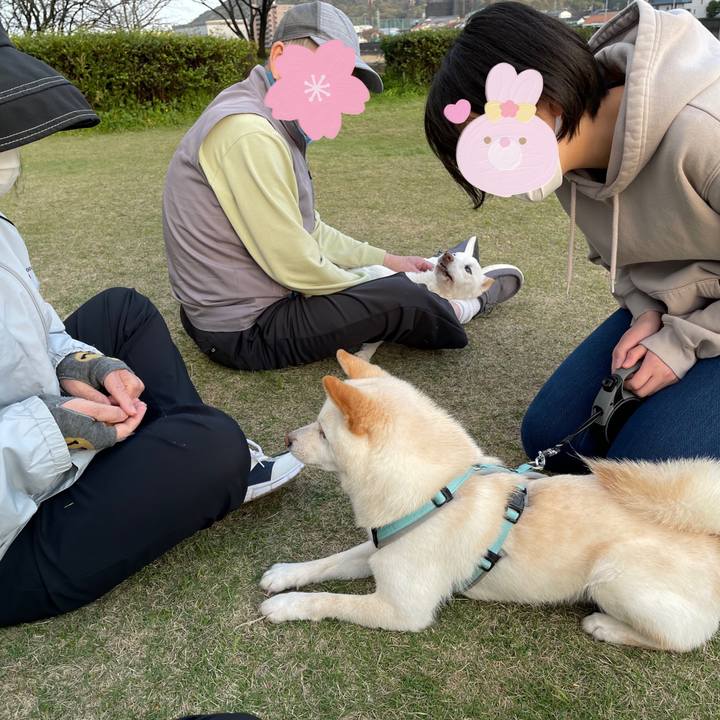 Bcab1f4d 10b9 40f0 a0d6 c85fb8520c13 1679997173154