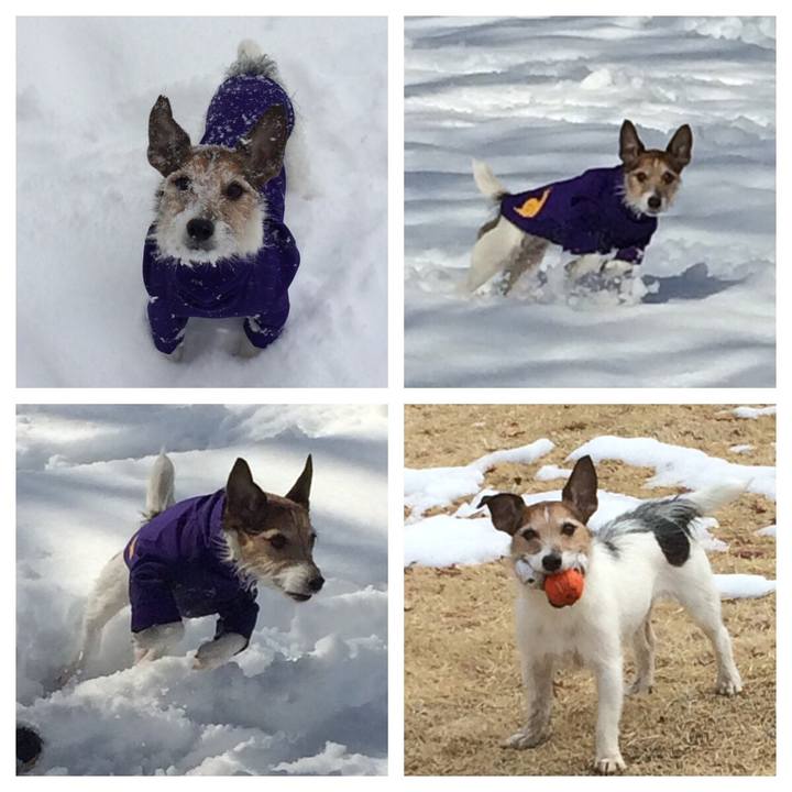 Bcab1fa3 80c2 47c5 bdf7 2f467b46558a 1517663166954