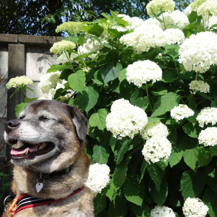 Bcab26da 707b 4901 9cdb 0e57ea656e2d 1687395770019