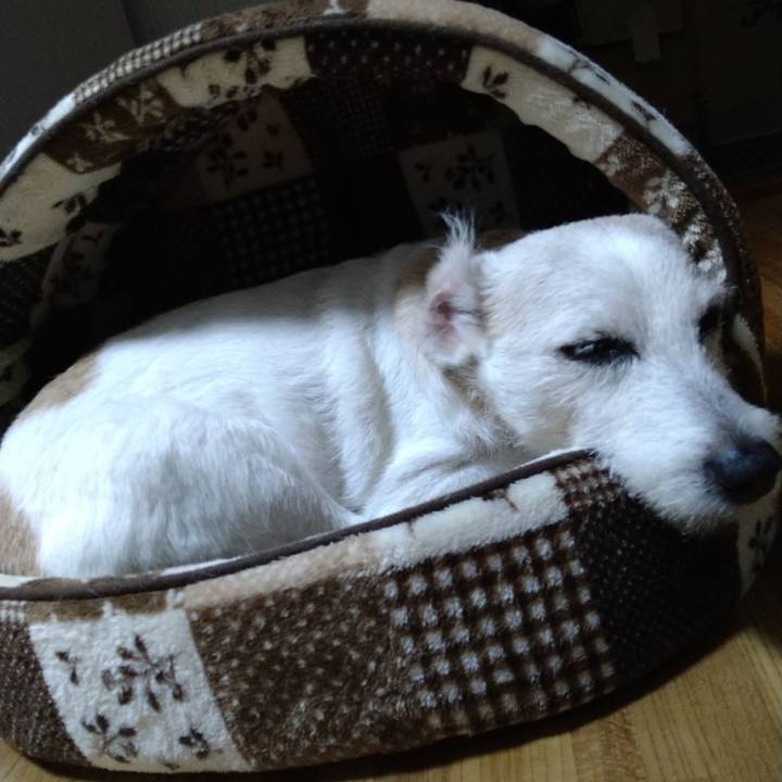 Bcab29a3 ef03 4094 bc5c bf75a6f3a0e0 1727524656812