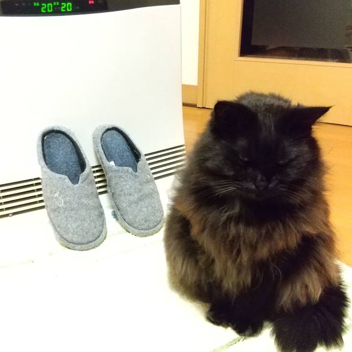 Bcab516e e604 424f 8fd6 6ca066a97dfd 1607507028440