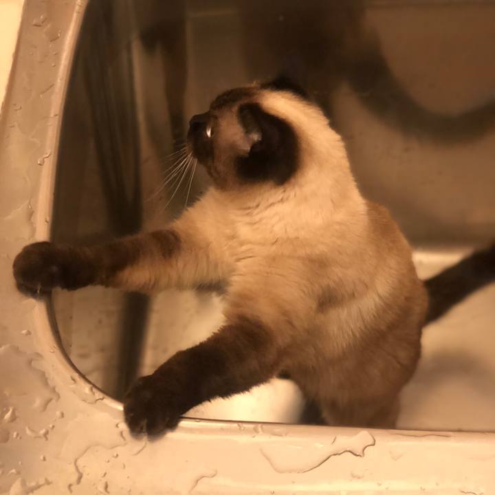 Bcab813c 83e4 49dd bc5e 11b4c9d29b1a 1626910790813