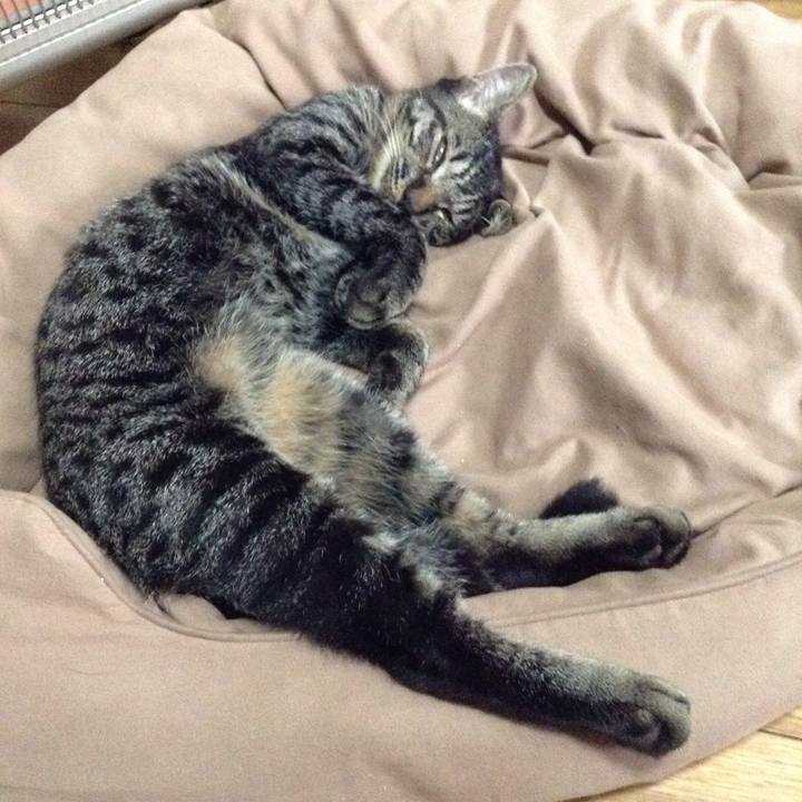 Bcabbbf5 e08d 4ec1 a11b 947cce31f29d 1538197071435