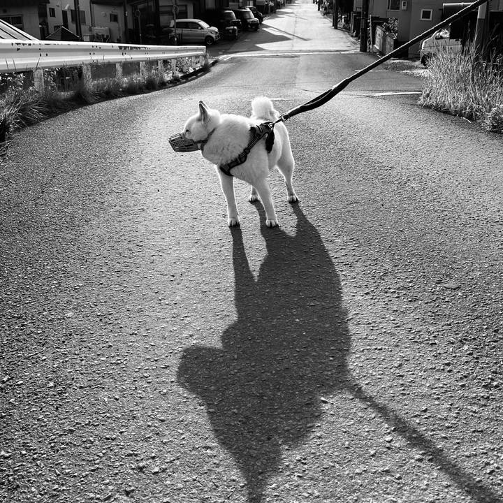 Bcabc017 ab3e 47c6 9f8b a02be653c4fe 1748383902425