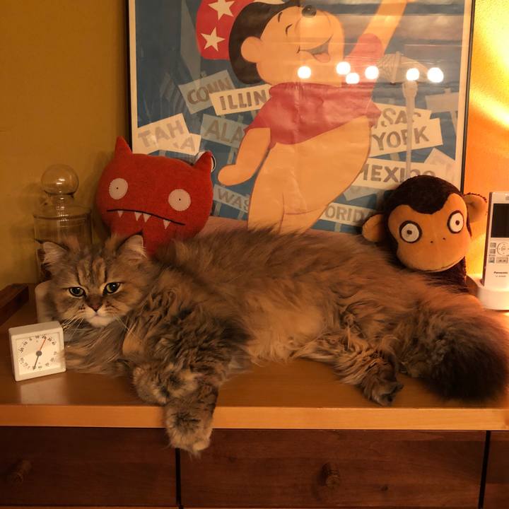 Bcabc686 0ed6 4094 af6d 6ade20ca9108 1555551784995