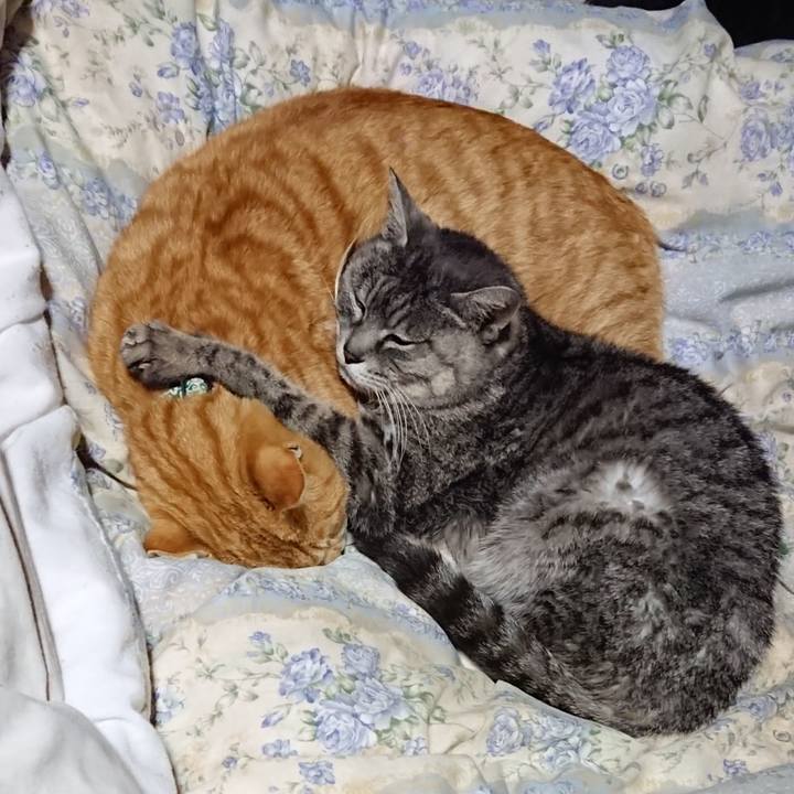 Bcabd639 89f3 4bd9 9be3 5297c9695ba9 1582205286514