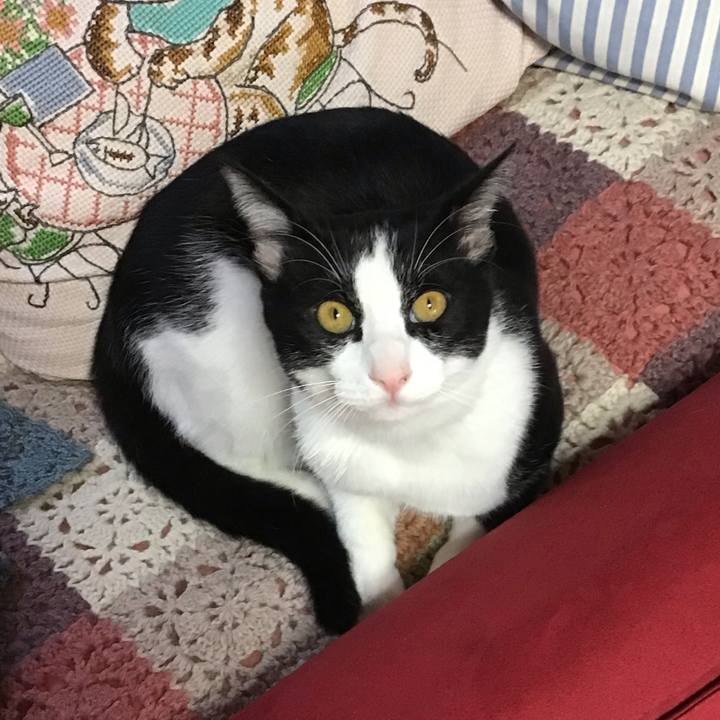 Bcac390a 347f 42fa a383 d2a147eb4f06 1635836289469