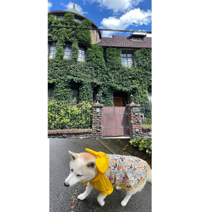 Bcac3bde b82e 4139 92ad 2268225ff752 1660825555016