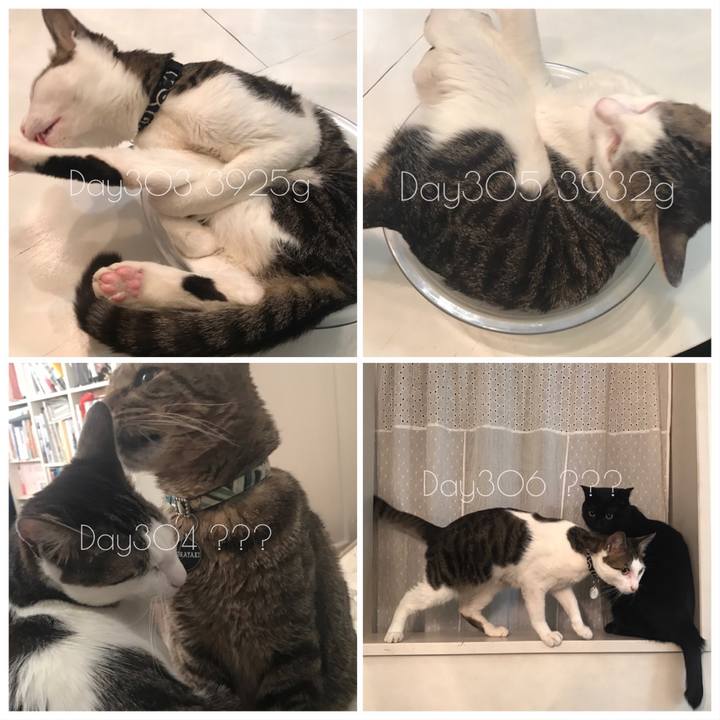 Bcac9c5e bd9c 499e 927e 3dab80087cee 1523794025972