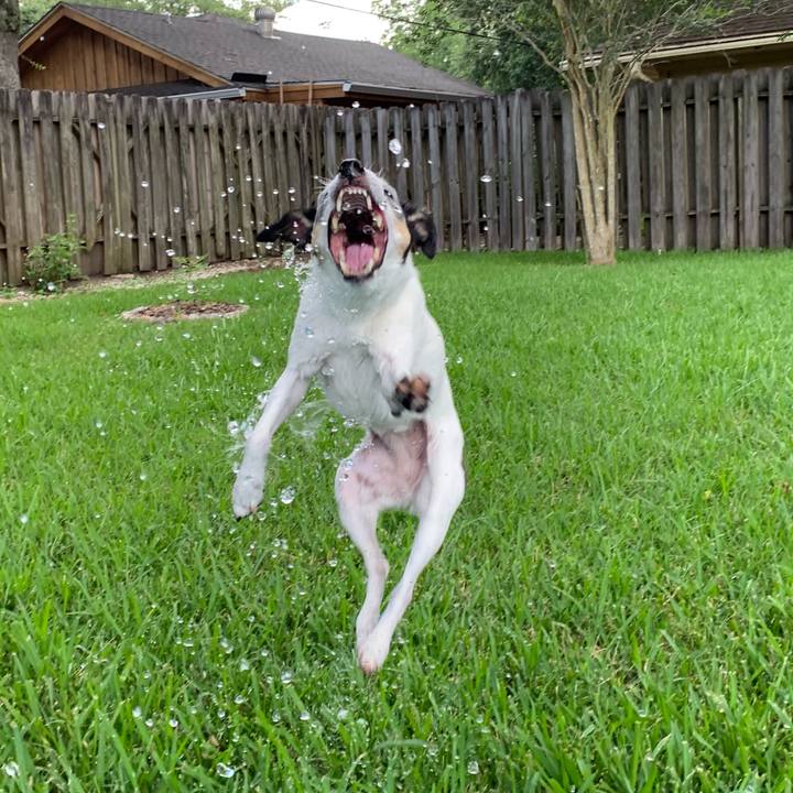 Bcacd9e3 b6f1 4fe8 8b11 6fa97ffbd6fc 1624745942215