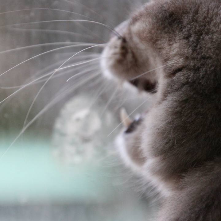 Bcace917 0a19 4fc8 8061 c9d8e584833c 1518741843332