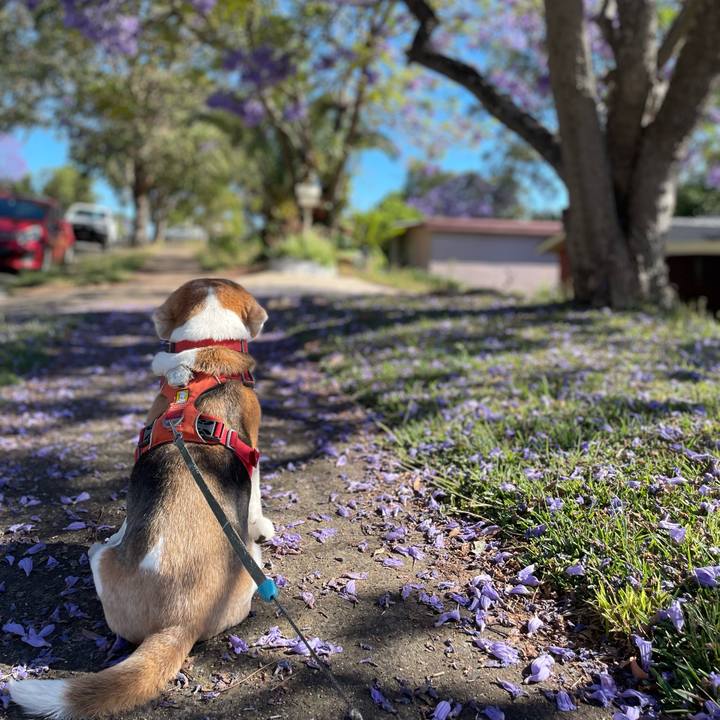 Bcad0529 a076 4845 8f31 0bae794b2d3d 1763184770256