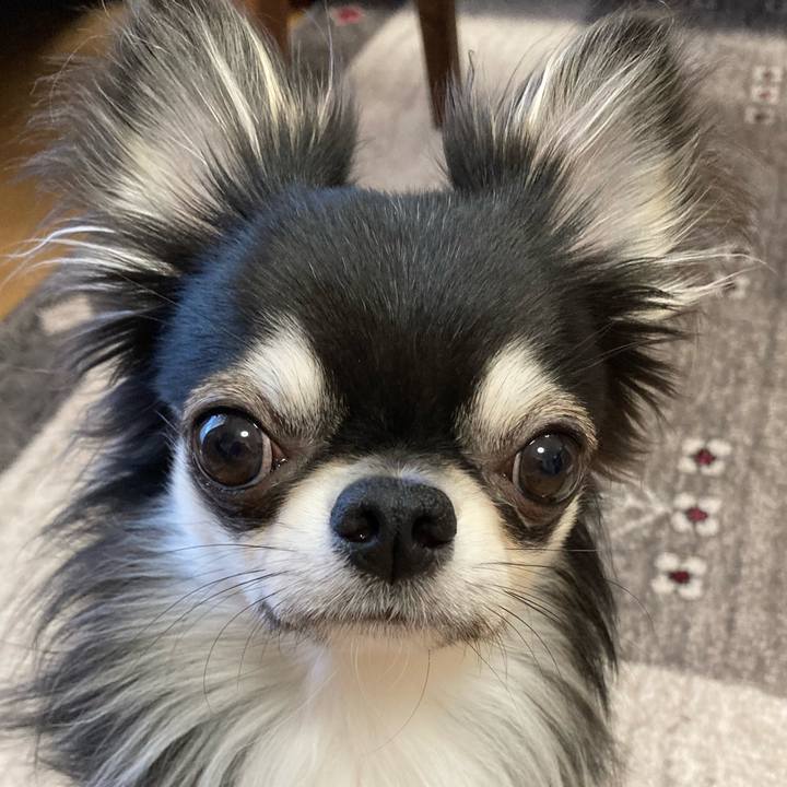 Bcad13e7 0761 4335 a3b9 3467156496bc 1618095191083