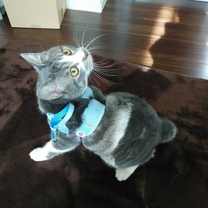 Bcad1c52 6c41 4d8d 976e 14a542d9eb75 1577426694281