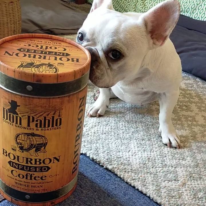 Bcad2688 3100 4e6b a097 f437313bffb3 1660357600957