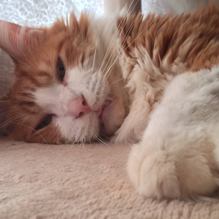 Bcad640d 3add 4c61 8ffc 63d27b38ec2d 1573177350779