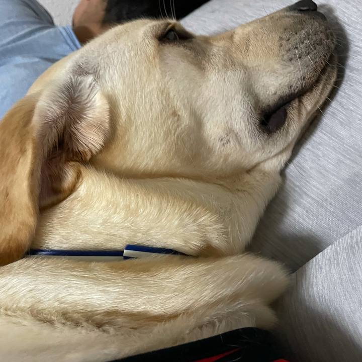 Bcad6acd 88bf 4a3d 9d17 0c04139c746f 1630171832656