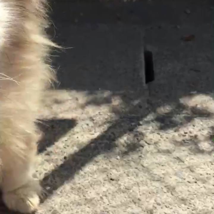 Bcadadba 7c91 4030 9ef5 7322ea5387f1 1605063984363