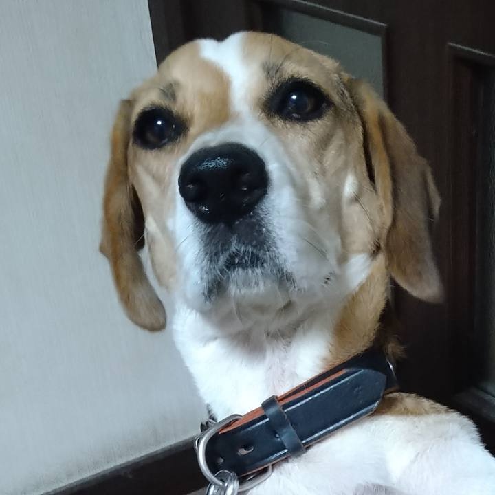 Bcadd4ca 9766 4062 9716 6ec68ec60fcc 1631084417076