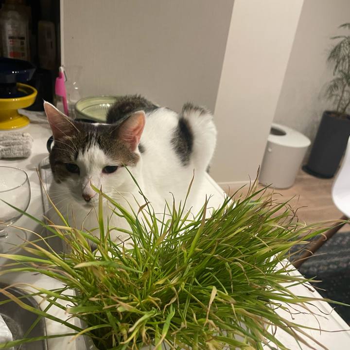 Bcadf5ef a27d 413b 9c04 537a91df6545 1771383146088