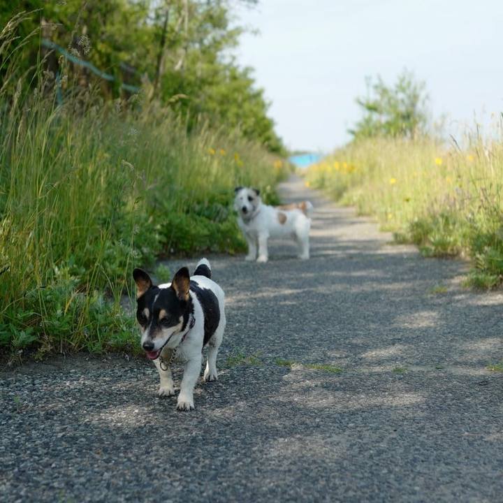 Bcae7940 64b0 4e4d b7cc 80cee2c5ec1b 1528171850521