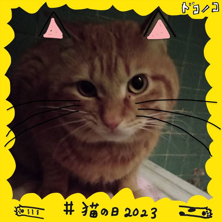 Bcae7b24 9faf 4979 86cb dd7fcc1ff46e 1677057296840