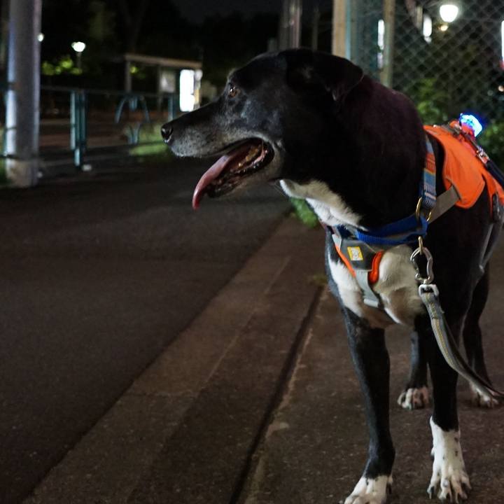 Bcae7ca6 1af7 445c 9120 fe611c2a440d 1756897346332