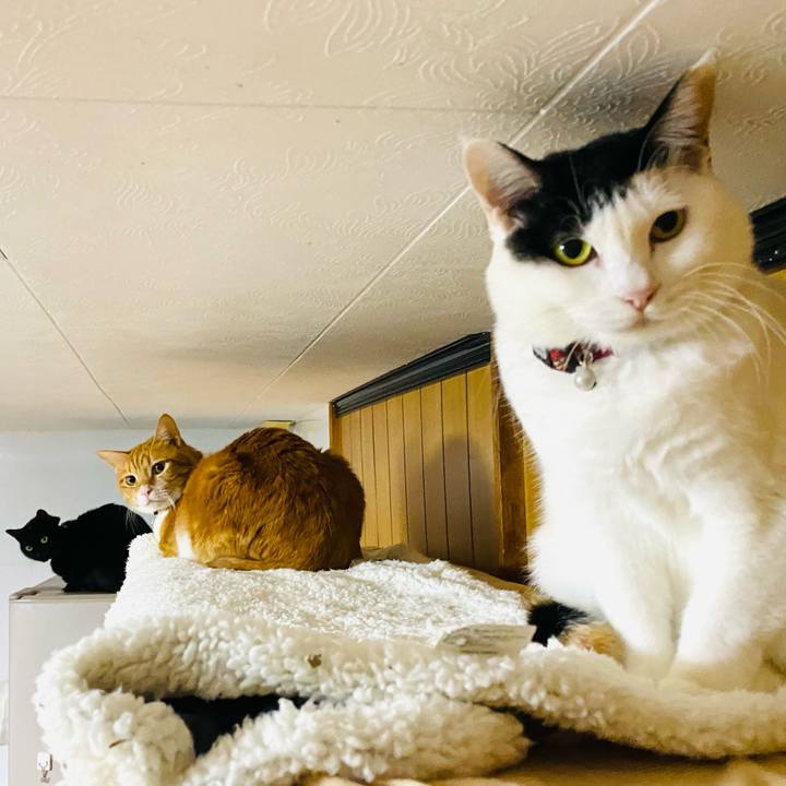 Bcae7f27 198e 4e6b 8a23 305310e4d725 1670365551850