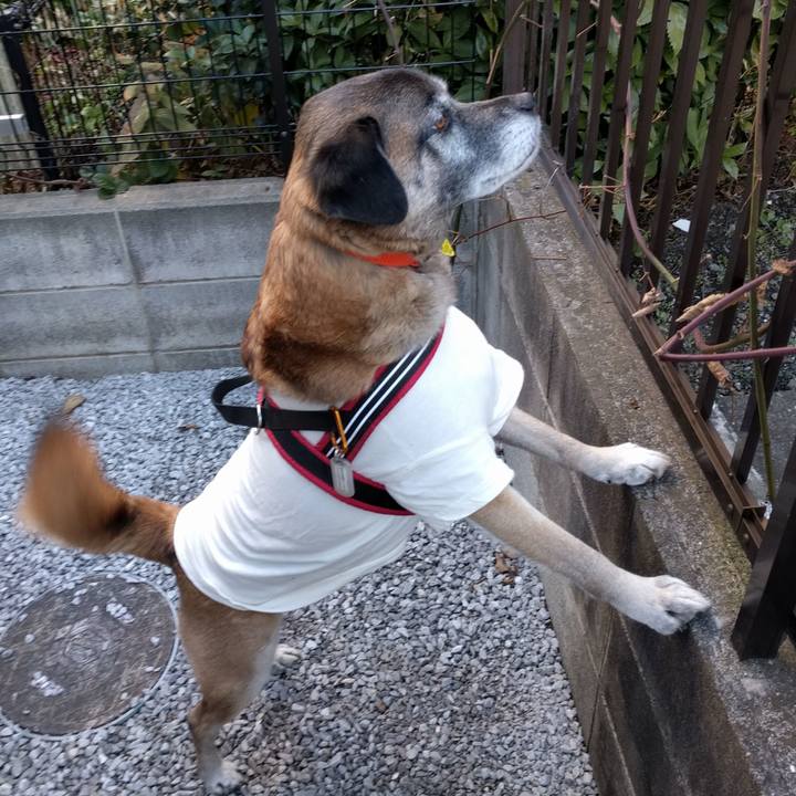 Bcae9724 ba81 4ffb bad9 c87ed9f4264d 1710034172391