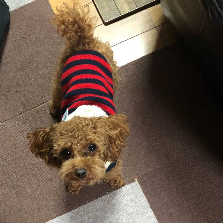 Bcaea5eb fc6e 4934 8ff7 94b10d50d872 1513248270927