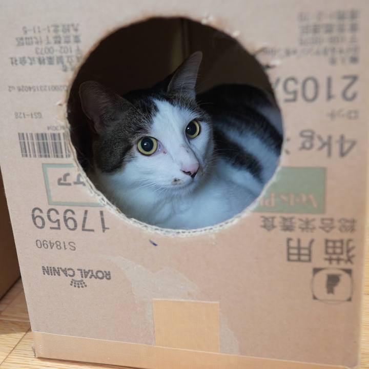 Bcaebf1b c757 40a8 8d10 8be889d18cd6 1596415129658