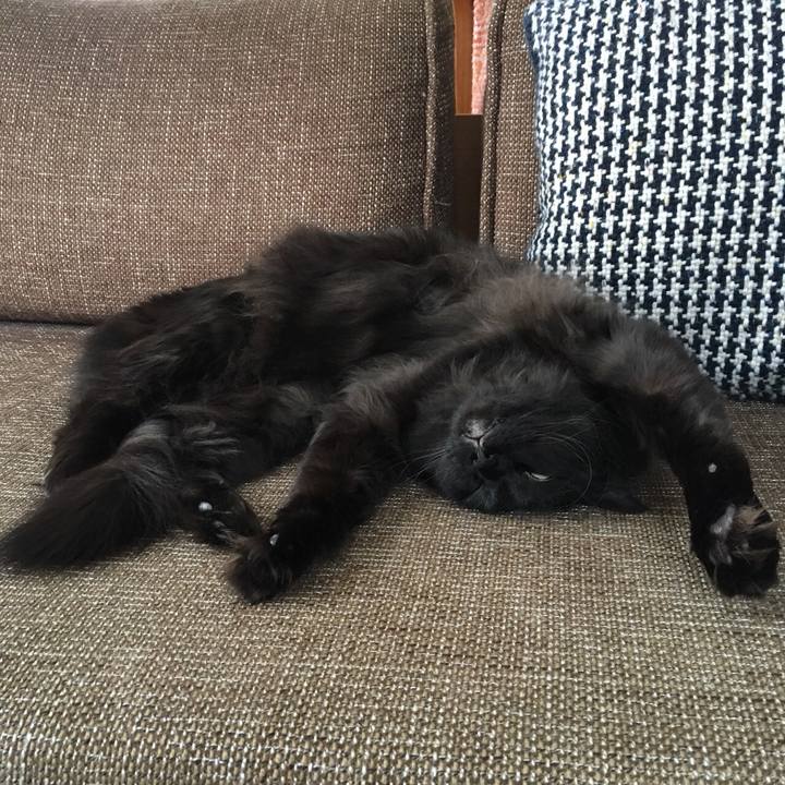 Bcaecb50 3986 4709 900d abacb923a1db 1521683811447