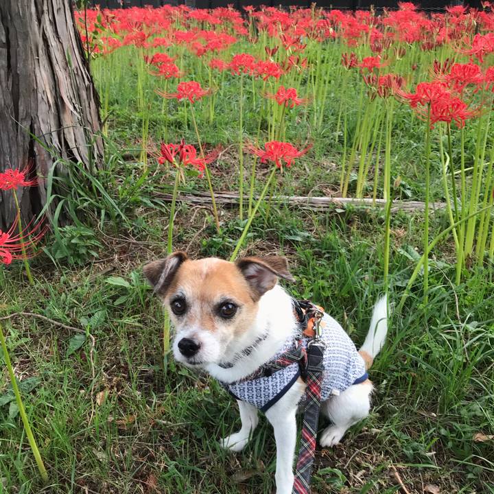 Bcaee321 3f03 4387 beb4 dceb9fba3002 1569573906949