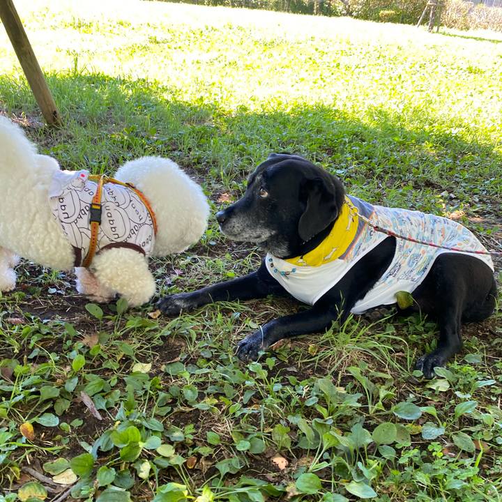 Bcaf093a a1da 4118 88ef ecc0e3f7cd04 1629351814619