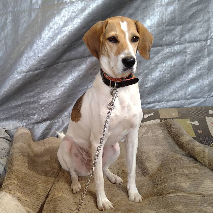 Bcaf41cf 7cf2 41d9 bcec 1bc0ad2900c2 1630936228542