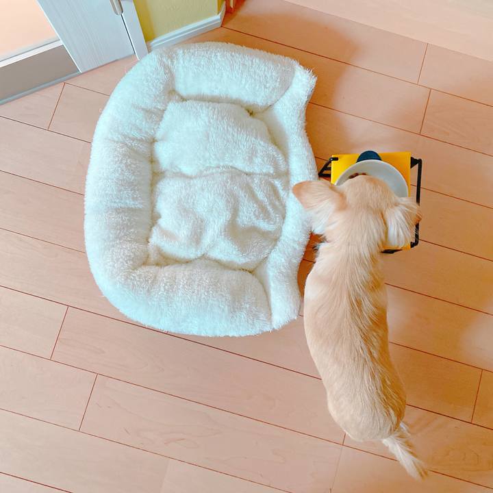 Bcaf527b bda3 443c 9a85 fb29f1cbbfef 1642731405264