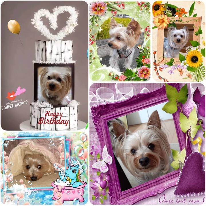 Bcaf5e72 1655 4879 87ff 6b78bbef3436 1614547758372