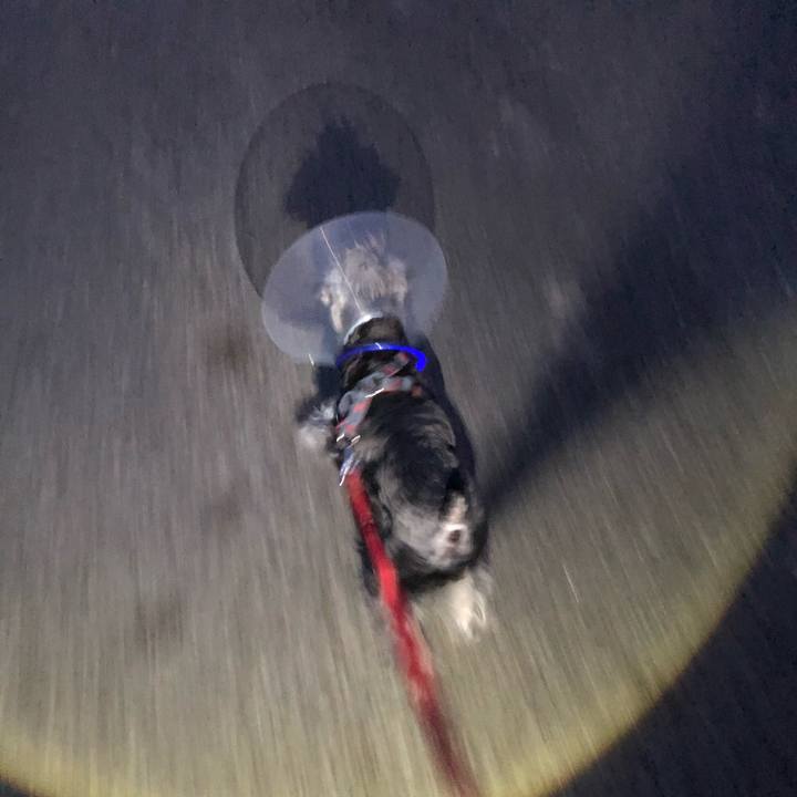 Bcaf634b 6864 43f0 a5d8 534a9e482dad 1685628078121