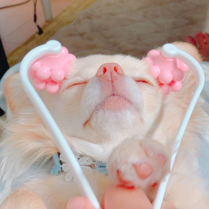 Bcafaa05 f4a2 40e5 aac3 63c83b25a048 1620019954475