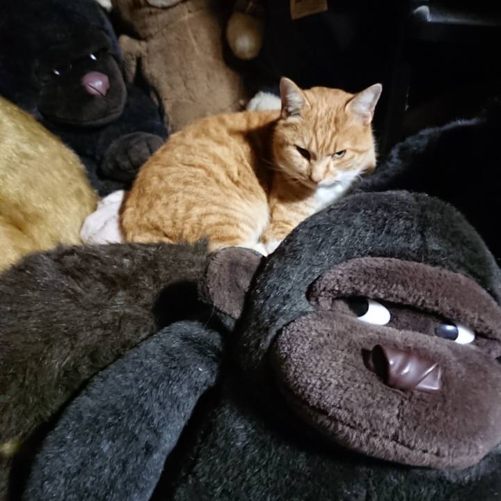 Bcafb07e 6d4b 4a56 9f2b 19a64e792d1c 1606819013934