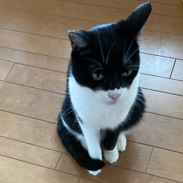 Bcaff87c 3093 4046 ade0 e1c6423c3c64 1621651867185